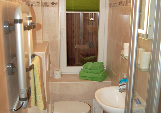 Badezimmer mit Dusche/WC und Handtuchtrockner.